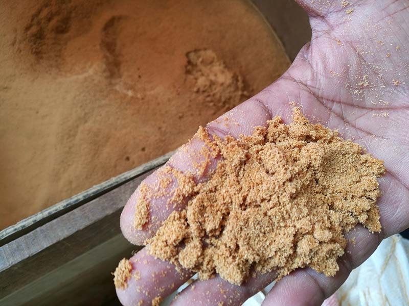 teneur en humidité des matières premières de la biomasse